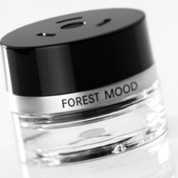 Аромат Forest Mood для автомобілів Mercedes з опцією Air Balance, артикул A1678991500