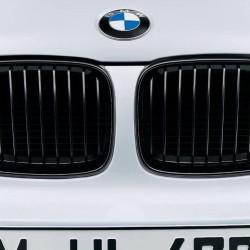 Решетка радиатора левая Performance для BMW 1-серии (E81, E82, E88), артикул 51710441921